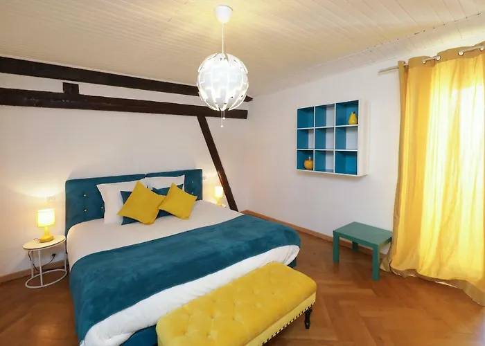 Maison Centre Ville Colmar Jacuzzi Jardin Et Climatisation